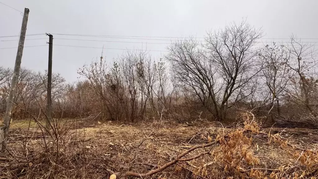 Участок в Ульяновская область, Старомайнский муниципальный округ, пос. ... - Фото 1