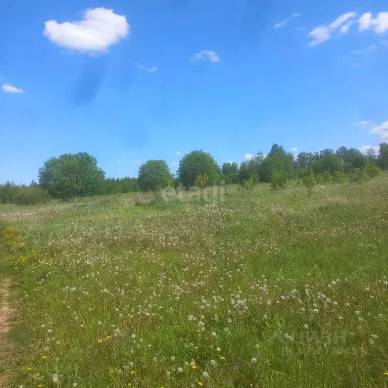 Участок в Орловская область, Мценский район М-2 Крым, 334-й км (50.0 ... - Фото 0