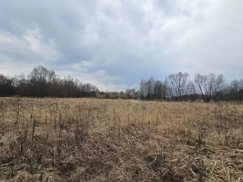 Участок в Московская область, Коломна городской округ, с. Фроловское  ... - Фото 2