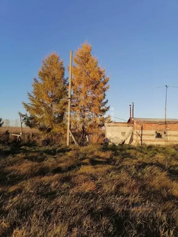 Участок в Новосибирская область, Искитимский район, Гилевский ... - Фото 2