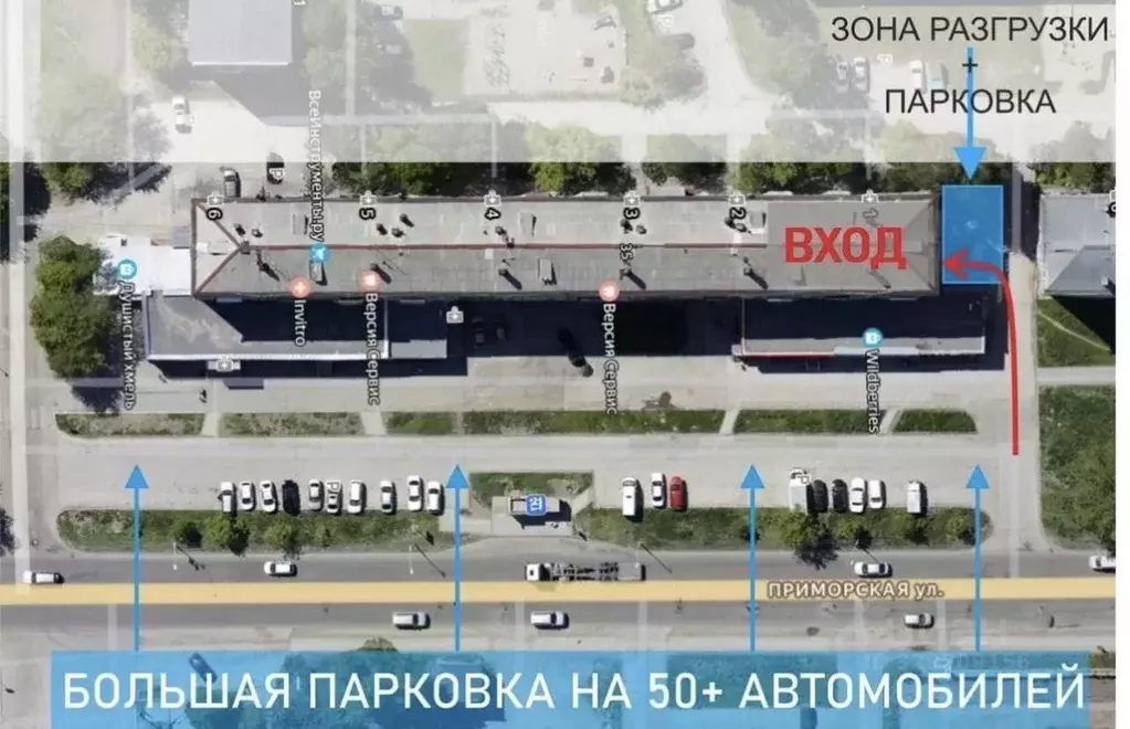 Помещение свободного назначения в Новосибирская область, Новосибирск ... - Фото 1
