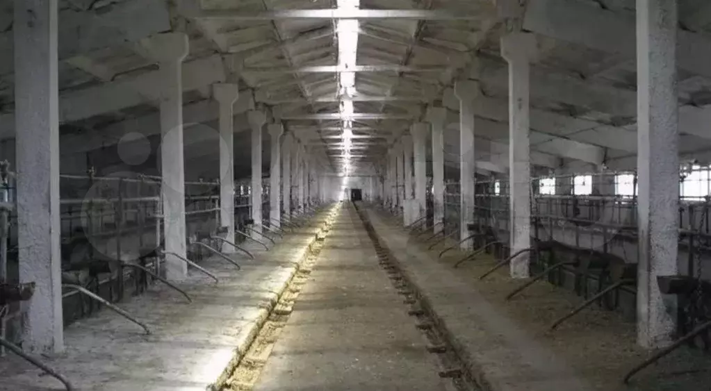 Производство - Фото 0