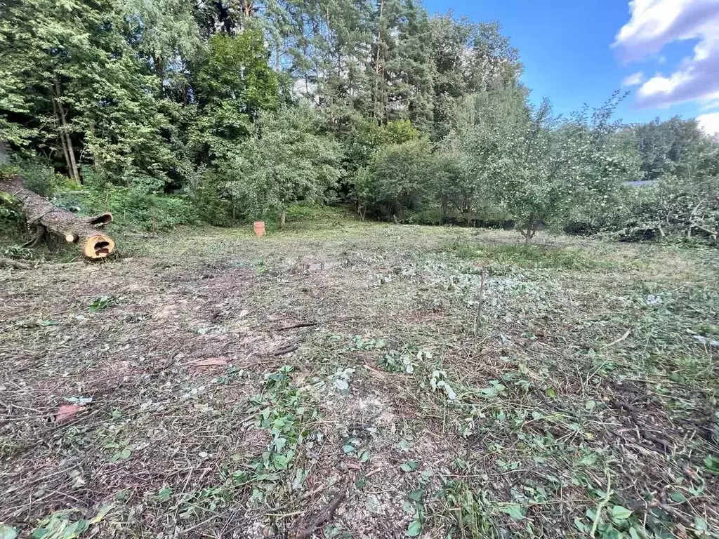 Участок в Москва д. Лапшинка, 135 (6.58 сот.) - Фото 2