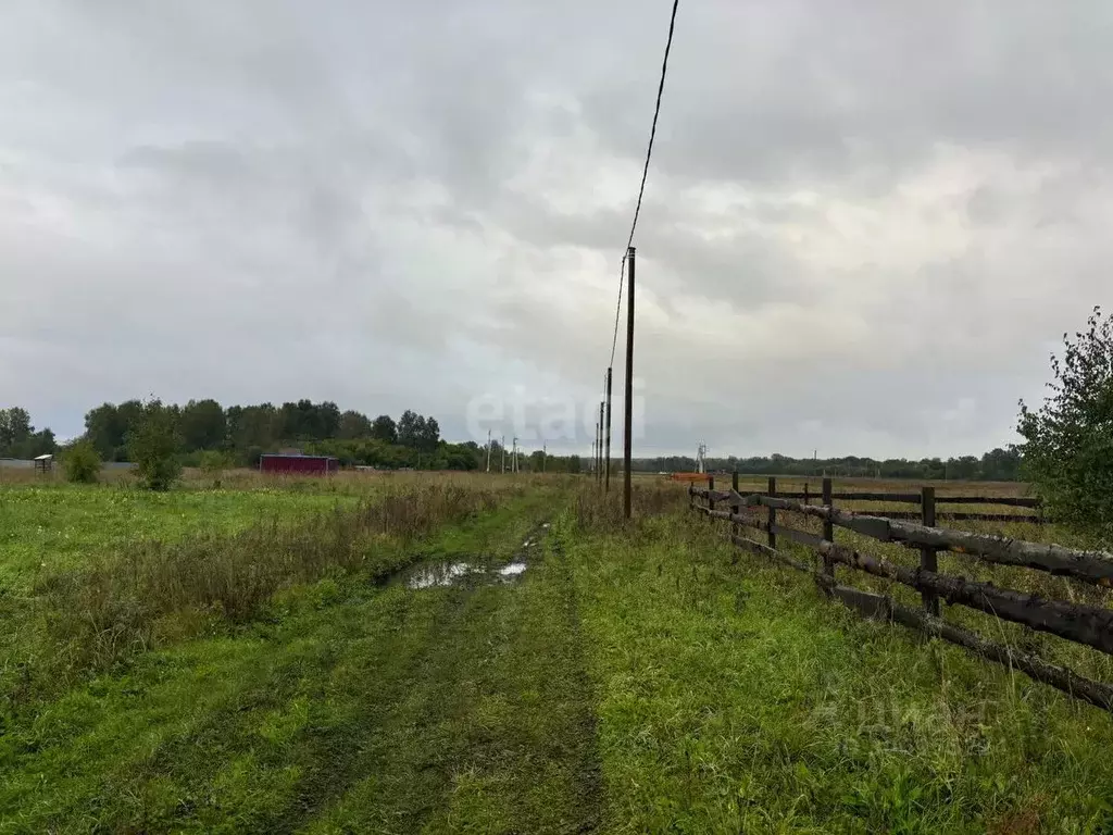 Участок в Кемеровская область, Кемеровский район, д. Мозжуха ... - Фото 0