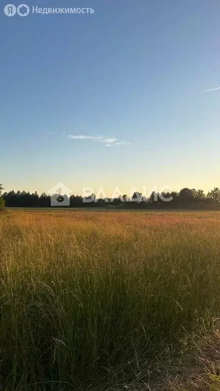 Участок в Вологодский муниципальный округ, деревня Стризнево ... - Фото 1