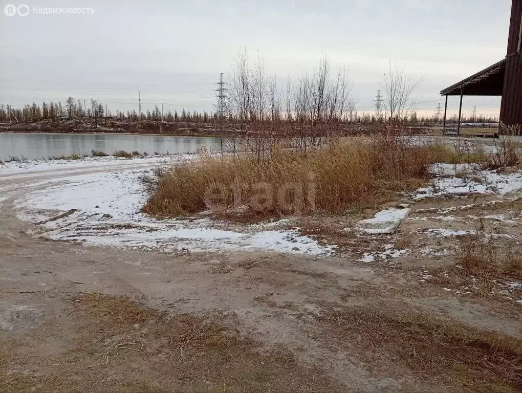 Участок в Новый Уренгой, ТСН Дружба (4.45 м) - Фото 2