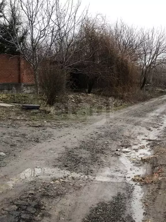 Участок в Ростовская область, Ростов-на-Дону 4-й Берестяной пер. (7.31 ... - Фото 2