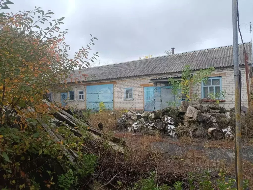 Дом в Белгородская область, Вейделевский район, с. Малакеево ул. ... - Фото 1