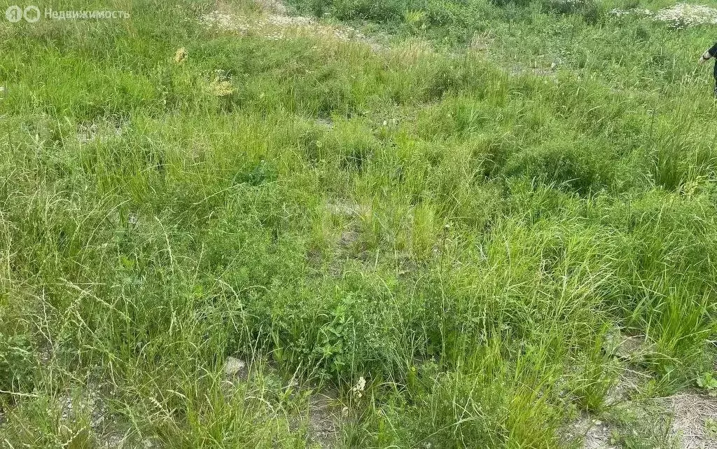 Участок в Калининград, СНТ Пищевик, 4-я Нагорная улица (5.5 м) - Фото 1