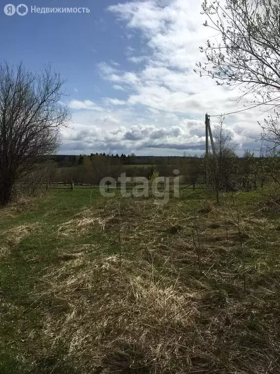 Участок в Шекснинский район, сельское поселение Угольское, деревня ... - Фото 1