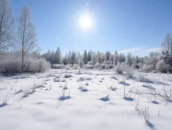 Участок в Новгородская область, Чудовский район, Грузинское с/пос, д. ... - Фото 1