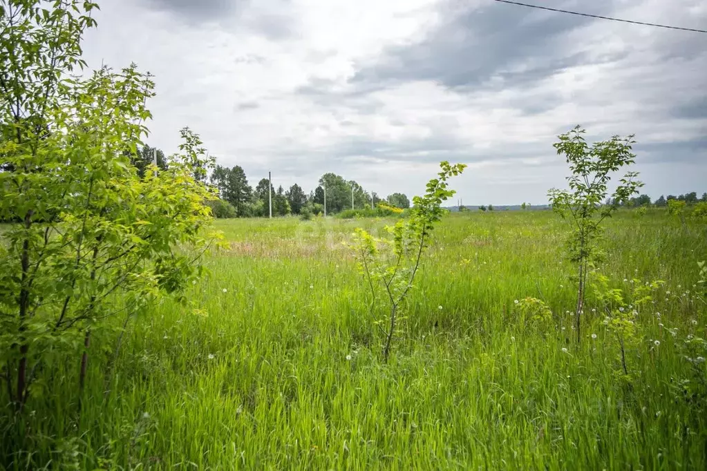 Участок в Новосибирская область, Искитим  (103.0 сот.) - Фото 1