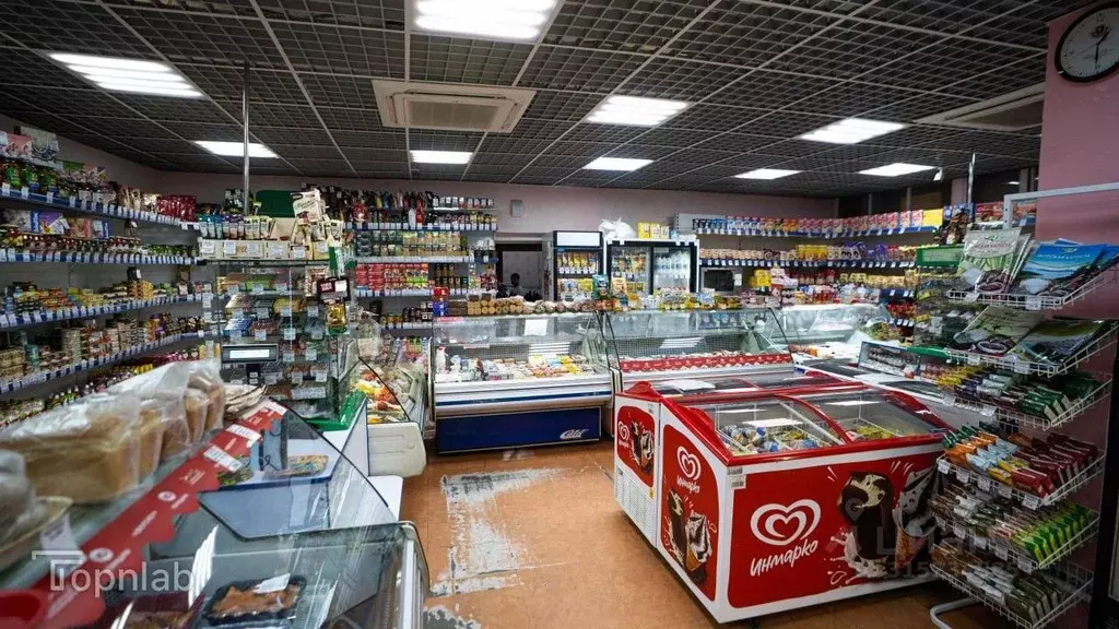 Торговая площадь в Камчатский край, Елизовский район, Новоавачинское ... - Фото 2