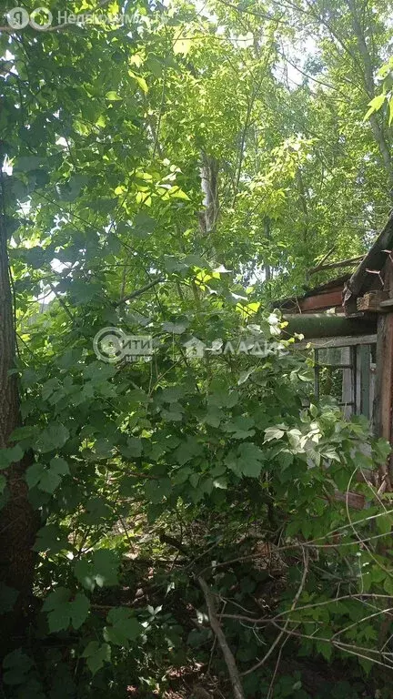Участок в Воронеж, СНТ Садовод ВАСО (6 м) - Фото 0