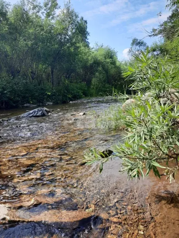 Участок в Алтайский край, Алтайский район, с. Алтайское  (180.0 сот.) - Фото 1