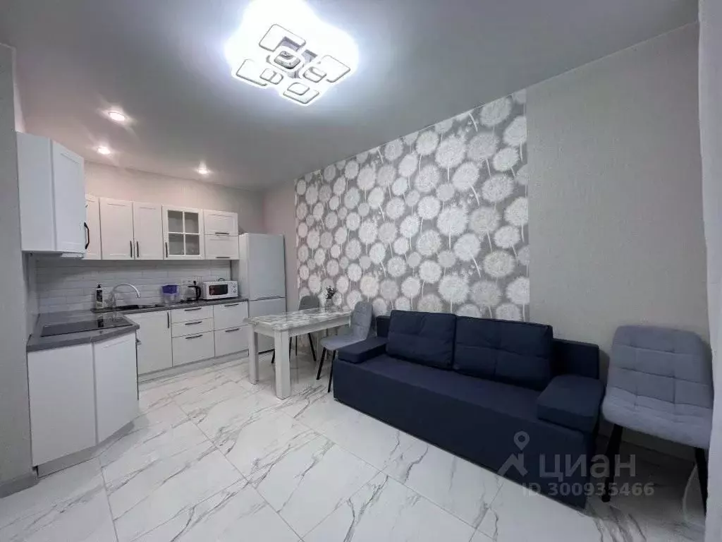 1-к кв. Московская область, Старая Купавна Богородский городской ... - Фото 1