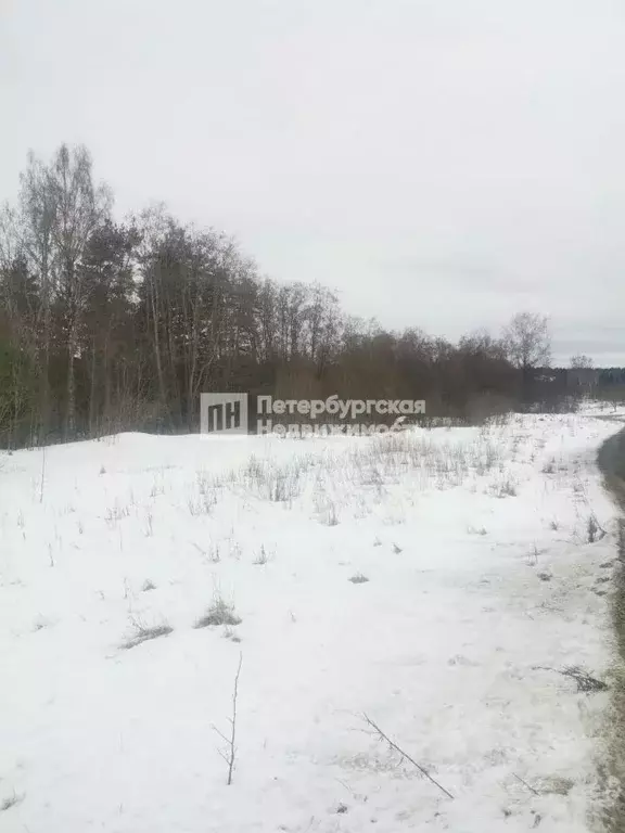 Участок в Ленинградская область, Всеволожский район, Лесколовское ... - Фото 0