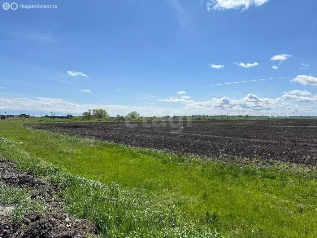 Участок в Курганская область, Кетовский муниципальный округ, село ... - Фото 1