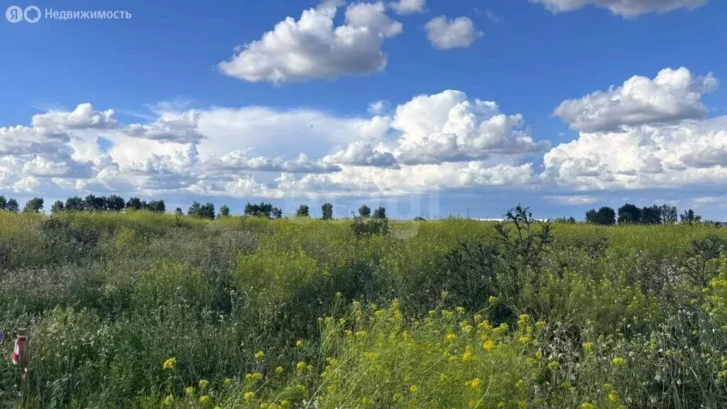 Участок в Воронеж, улица Евгения Анцупова (6 м) - Фото 2