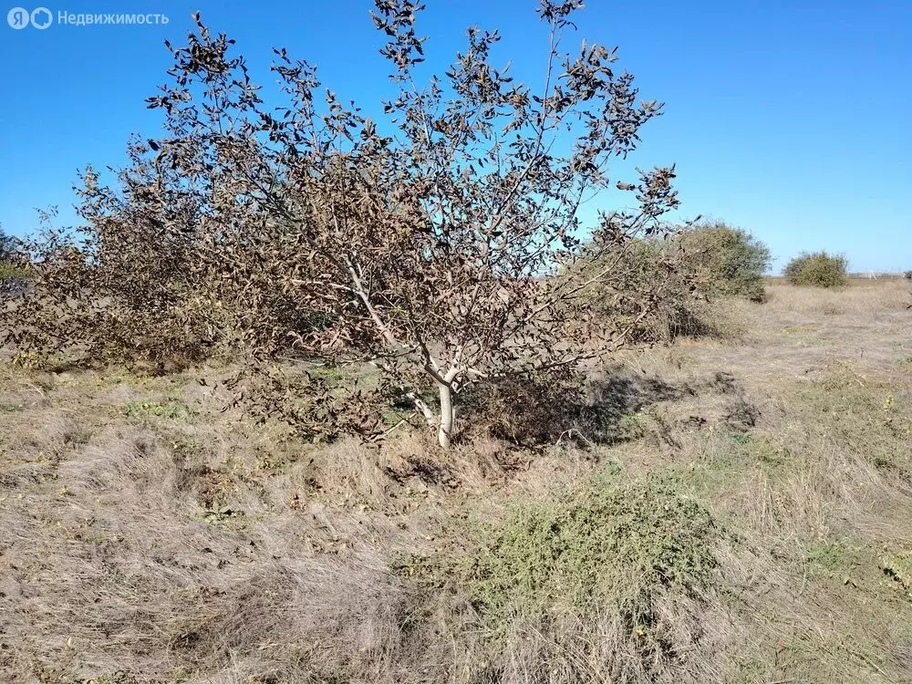 Участок в посёлок Таманский, Заводская улица (7 м) - Фото 1