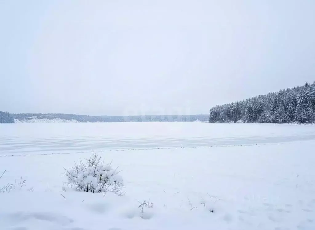 Участок в Пермский край, Пермский муниципальный округ, д. Карасье ул. ... - Фото 2