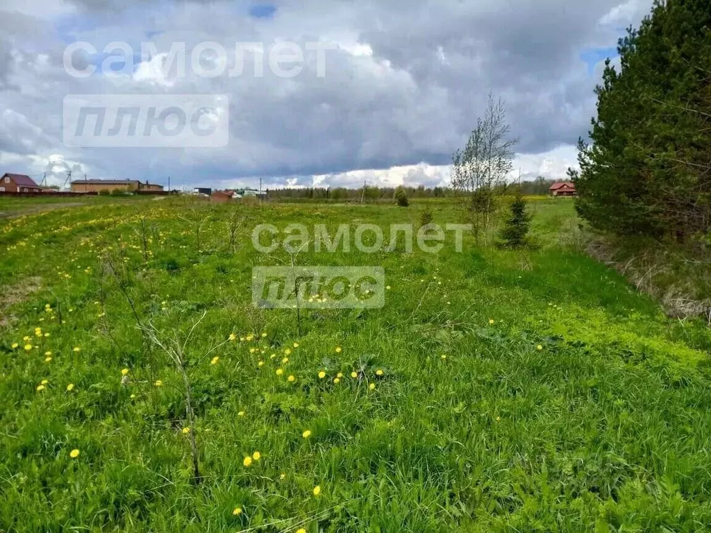 Участок в Вологодская область, с. Неверовское  (21.0 сот.) - Фото 0