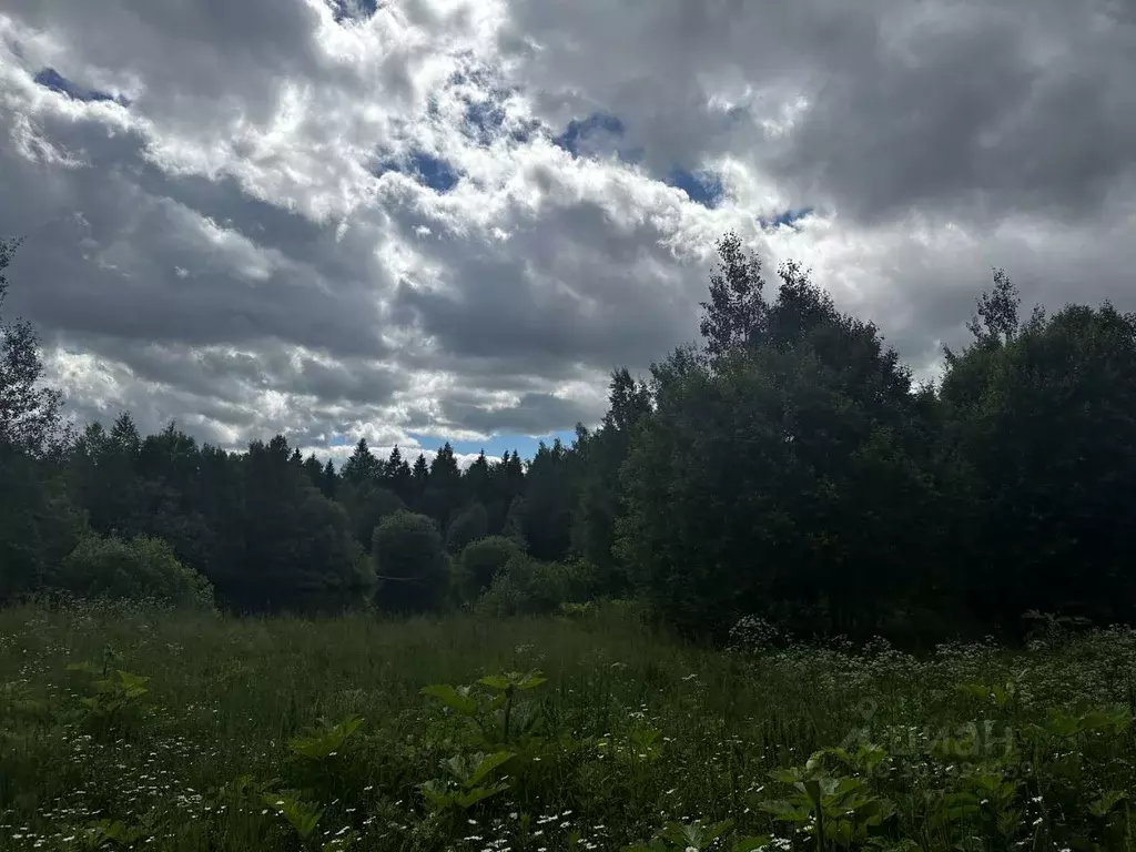 Участок в Московская область, Сергиево-Посадский городской округ, ... - Фото 1