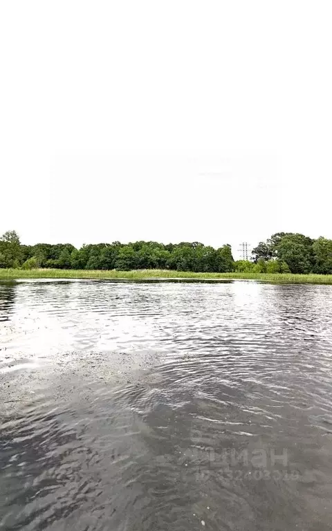 Дом в Воронежская область, Рамонь рп ул. Заводская, 59 (135 м) - Фото 2