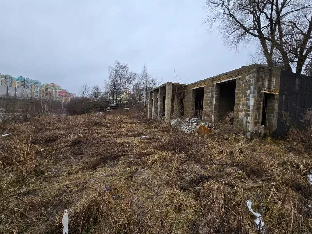 Продается дом в д. Пуговичино - Фото 2