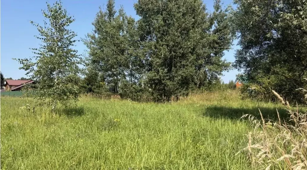 Участок в Московская область, Серпухов городской округ, д. Лисенки  ... - Фото 1