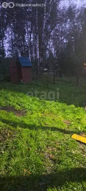 Дом в Тогучинский район, садовое товарищество Сибиряк (24 м) - Фото 0