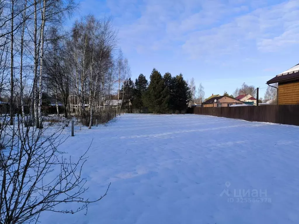 Участок в Московская область, Раменский муниципальный округ, с. Речицы ... - Фото 2