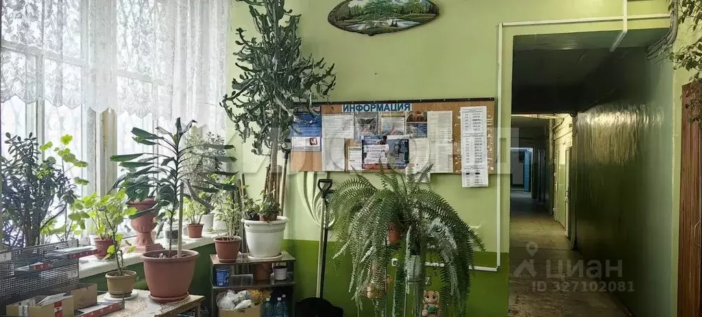 Комната Новосибирская область, Новосибирск Магаданская ул., 3/5 (17.6 ... - Фото 1
