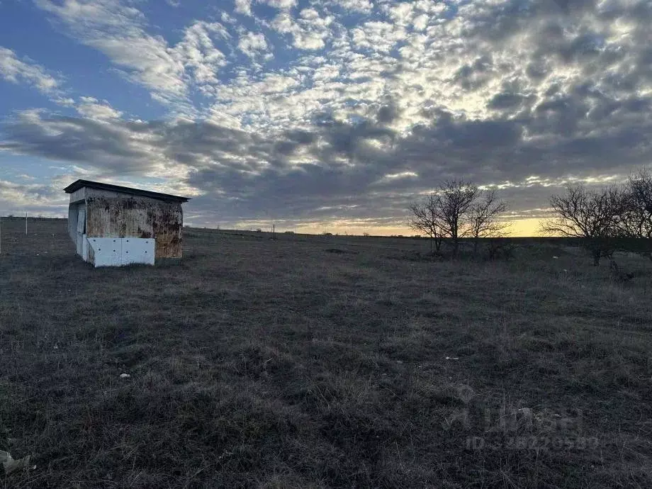 Участок в Крым, Симферопольский район, Трудовское с/пос, СПК Бештерек ... - Фото 2