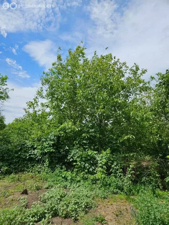 Дом в хутор Большой Лог, Молодёжная улица (118 м) - Фото 0