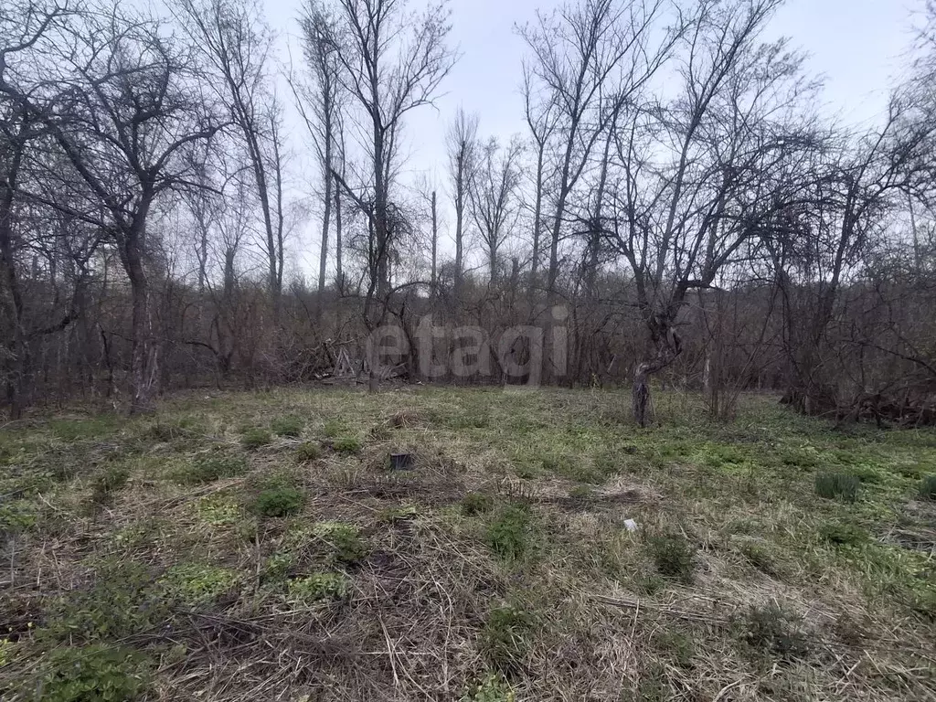 Участок в Курская область, Курск Красная Звезда СНТ, 84 (7.0 сот.) - Фото 1