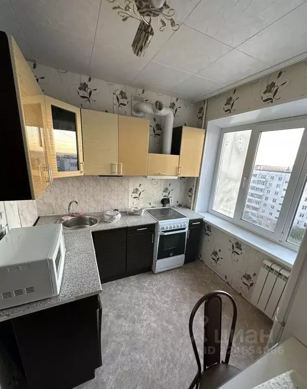 1-к кв. Башкортостан, Уфа ул. Софьи Перовской, 21/2 (33.0 м) - Фото 2