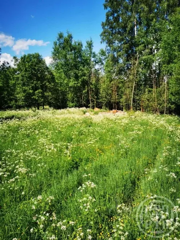 Участок в Ленинградская область, Выборгский район, Каменногорское ... - Фото 1