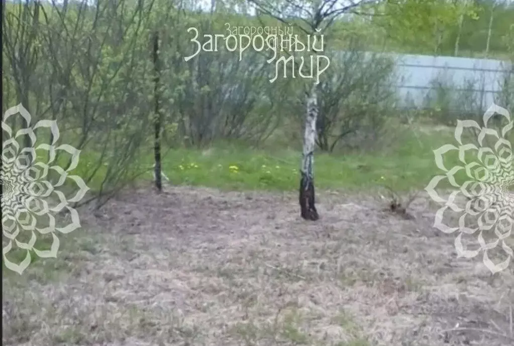 Участок в Московская область, Клин городской округ, ДНП Вишневый сад ... - Фото 2