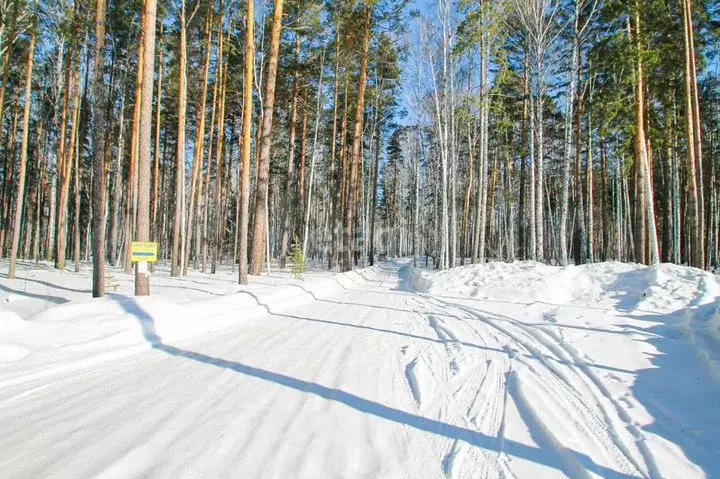 Дом 15м на участке 6сот. - Фото 0