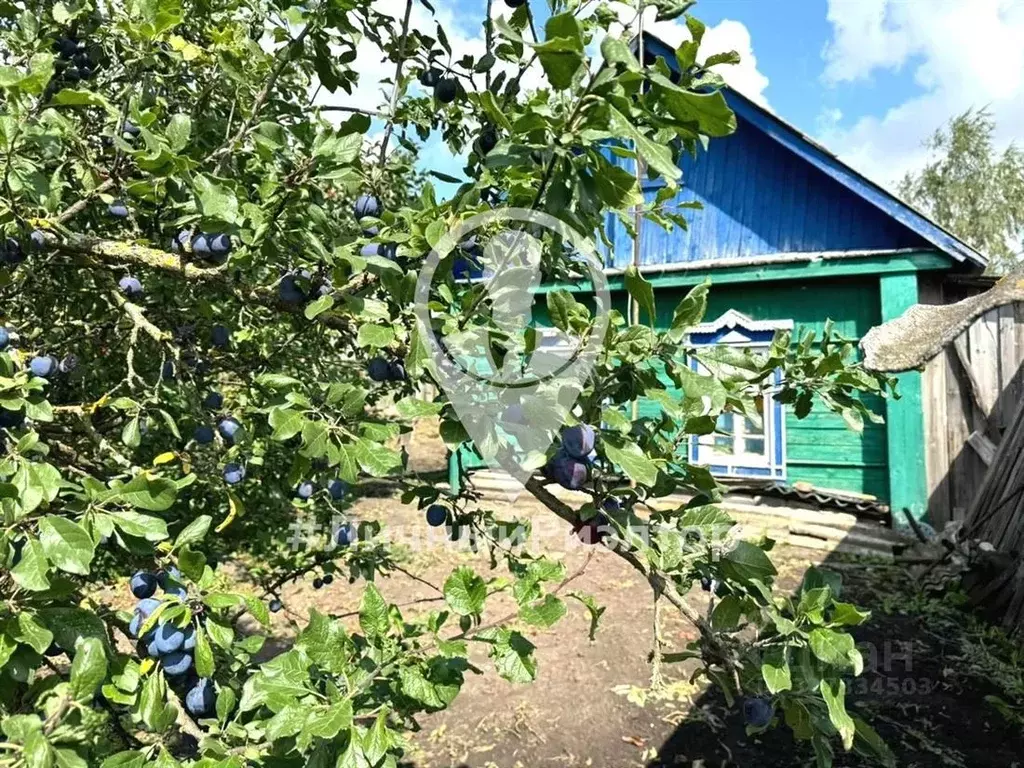 Дом в Рязанская область, Сараи рп  (31 м) - Фото 1