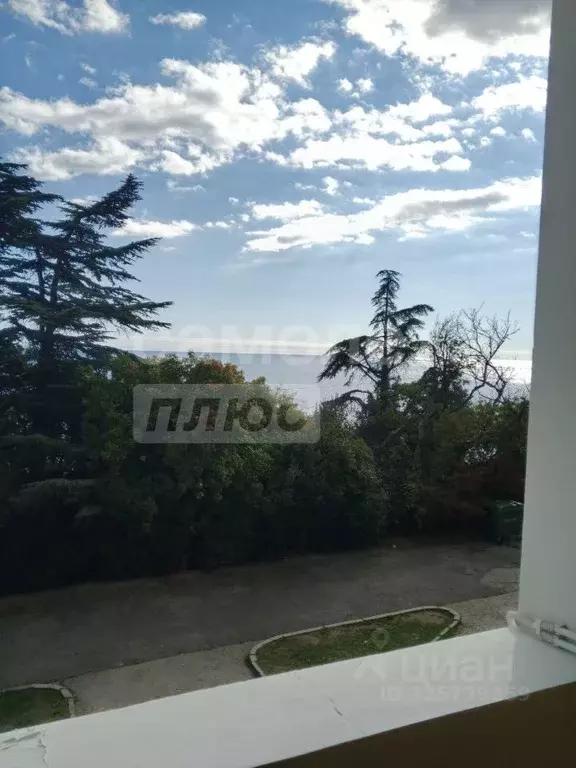 Студия Крым, Ялта муниципальный округ, Симеиз пгт ул. Владимира ... - Фото 0