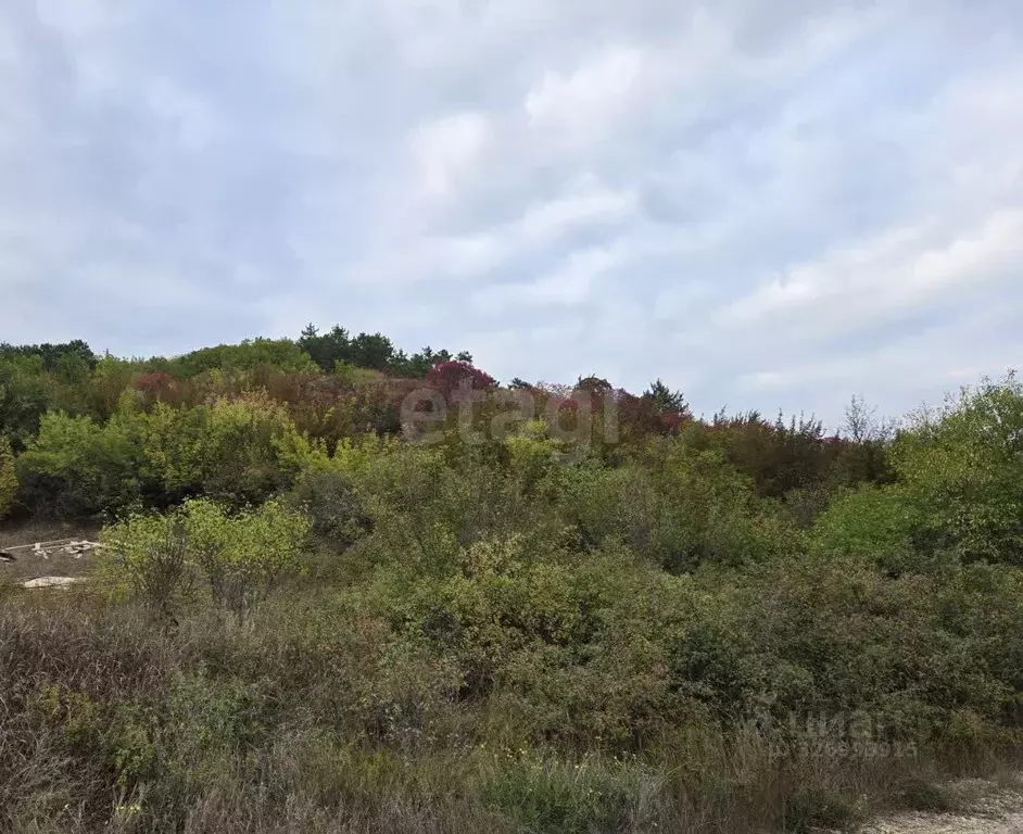 Дом в Крым, Симферопольский район, Перовское с/пос, Лесное ТСН ул. ... - Фото 2