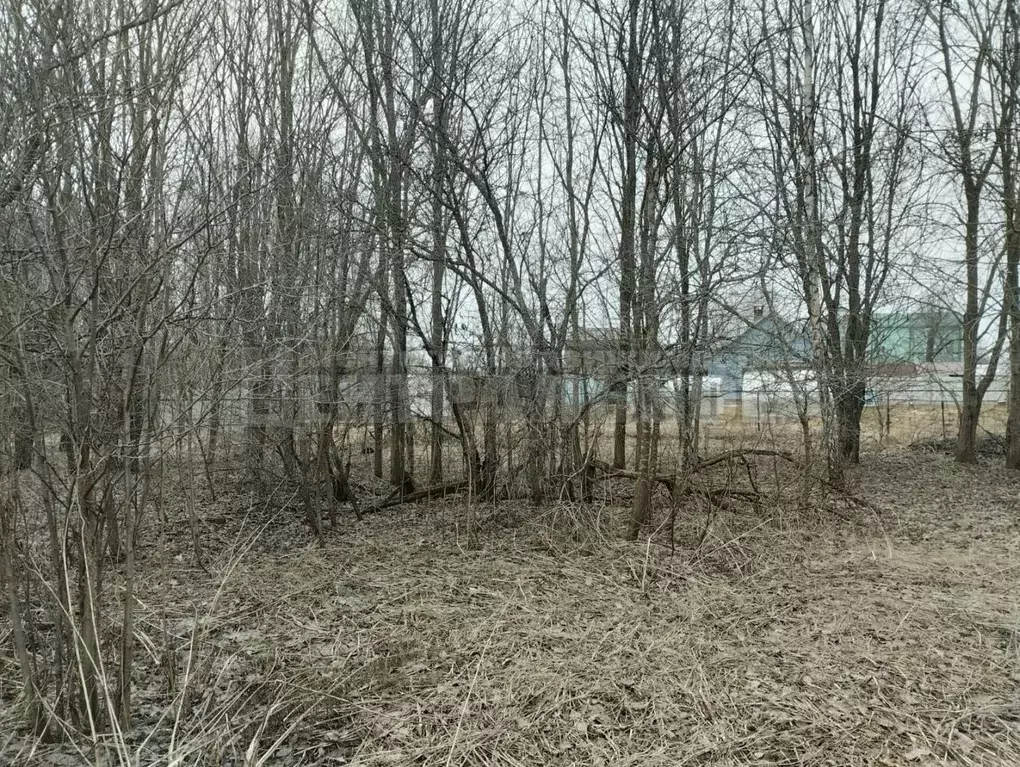 Участок в Смоленская область, Смоленск ш. Рославльское, 7 (11.5 сот.) - Фото 1