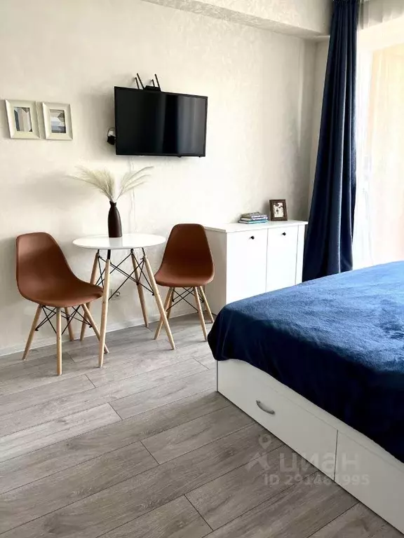 Студия Краснодарский край, Сочи городской округ, Дагомыс пгт ул. ... - Фото 2