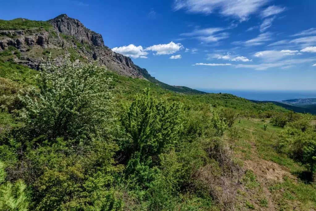 Коттедж в Крым, Алушта муниципальный округ, с. Лучистое  (309 м) - Фото 1