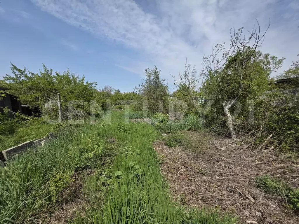 Участок в Севастополь СТ Садовод тер., 7 (5.5 сот.) - Фото 1