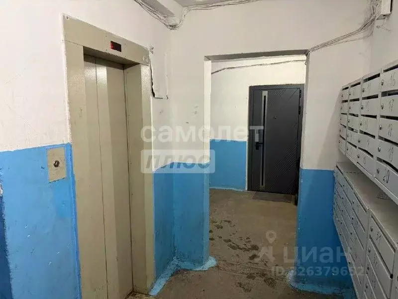 1-к кв. Челябинская область, Челябинск просп. Победы, 326 (30.0 м) - Фото 1