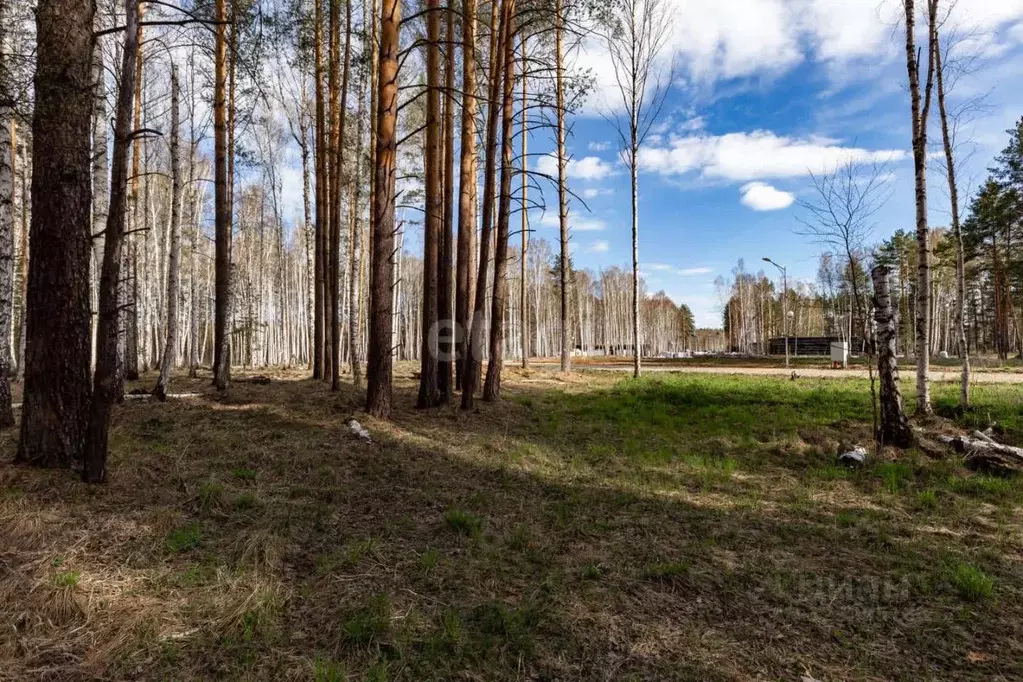 Участок в Свердловская область, Сысертский муниципальный округ, пос. ... - Фото 1