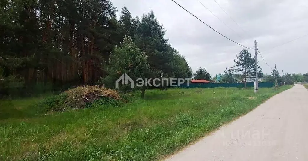 Участок в Владимирская область, Киржачский муниципальный округ, д. ... - Фото 1
